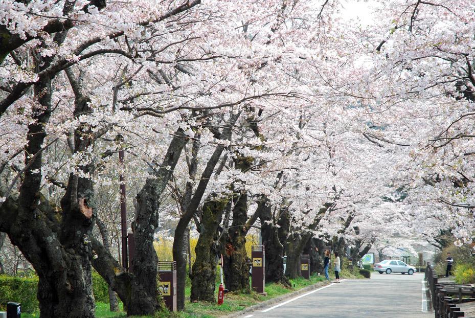 Kunugidaira Hotel Fukuşima Dış mekan fotoğraf